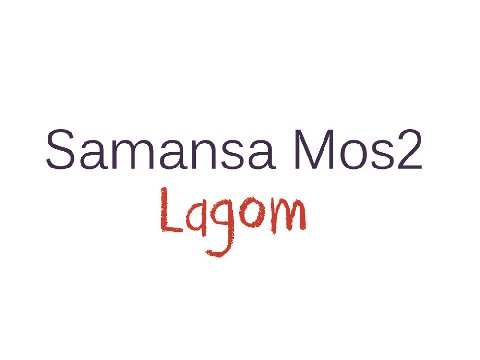 SM2 Lagom logo - Samansa Mos2 Lagom【サマンサモスモスラーゴム】福袋2020ネタバレや口コミと予約方法は？